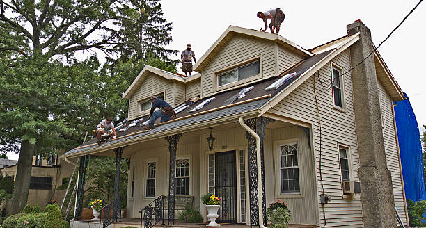 Best Metal Roofing Contractor  in Bothell, WA
