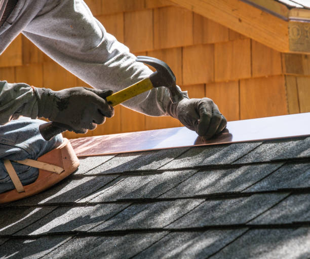 Best Roof Gutter Cleaning  in Bothell, WA
